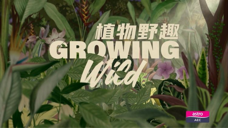 Growing Wild