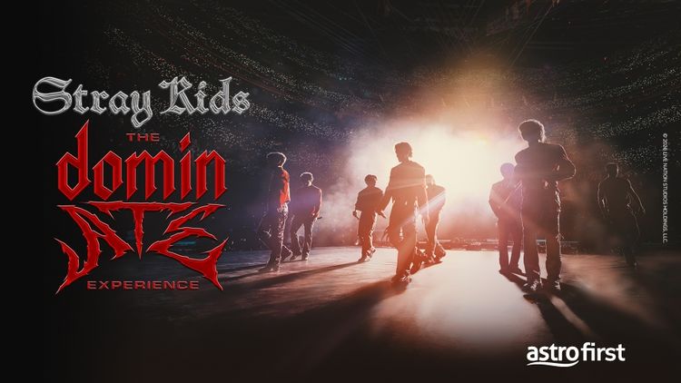 Stray Kids: The DominATE Experience