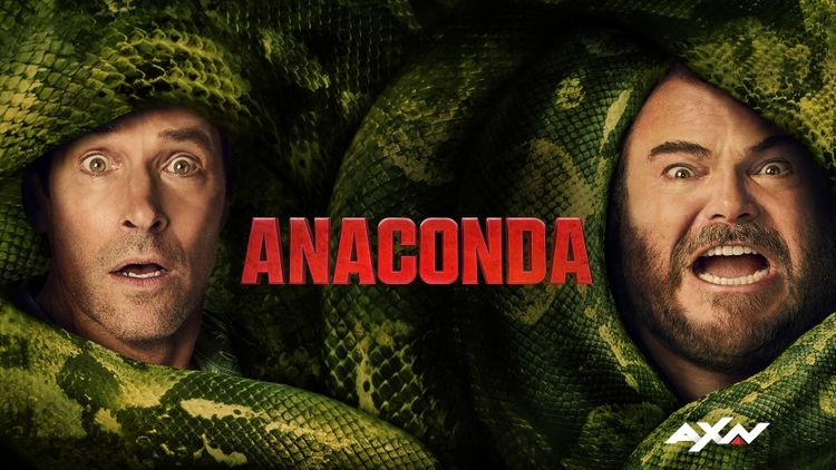 Anaconda