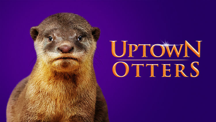 Uptown Otters S1