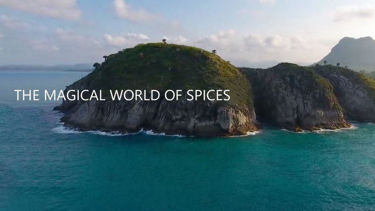 The Magical World of Spices S1