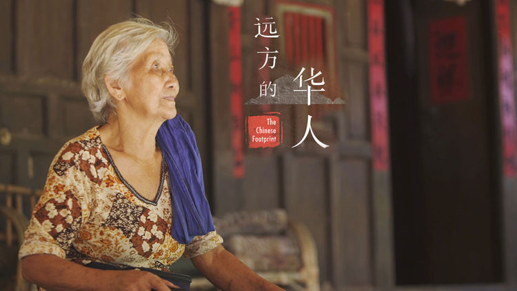 Chinese Footprints S1