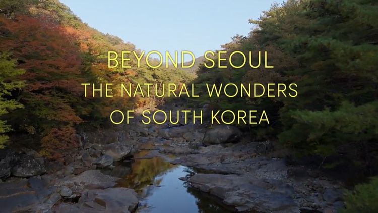 Beyond Seoul: the Natural Wonders of South Korea S1