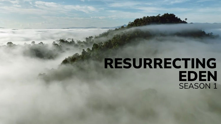 Resurrecting Eden S1