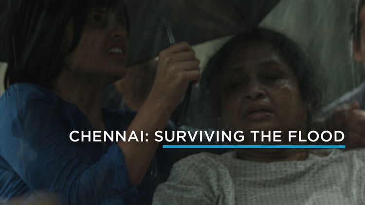 Chennai: Surviving the Flood