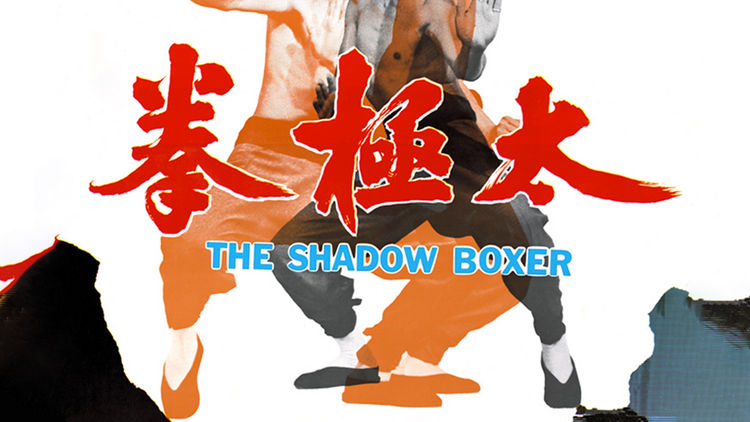 The Shadow Boxer