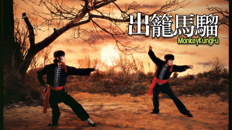 Monkey Kung Fu