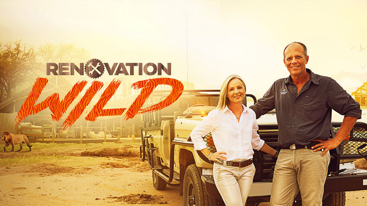 Renovation Wild S1
