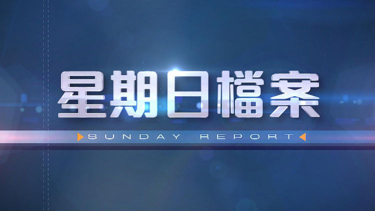 Sunday Report 2025