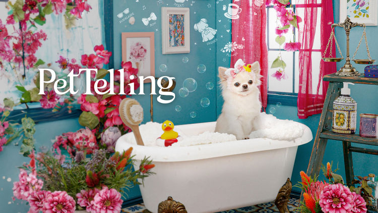 Pet Telling