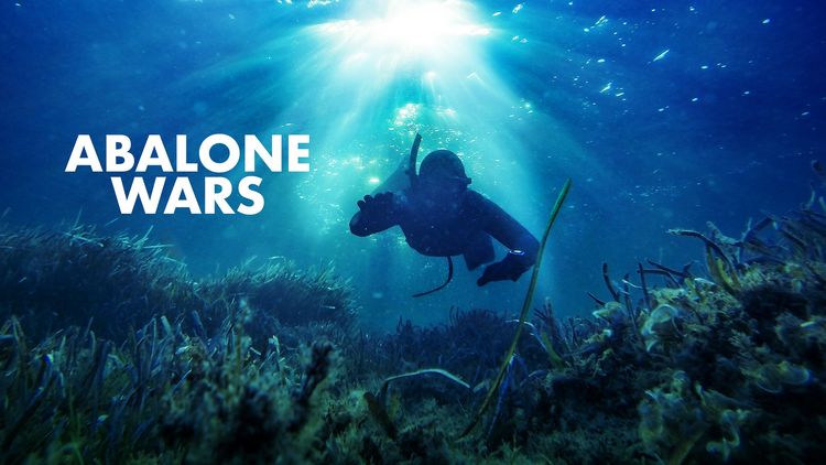 Abalone Wars S1