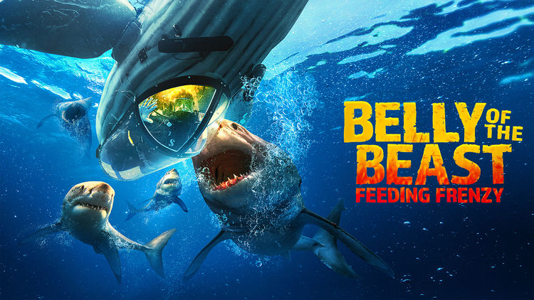 Shark Week: Belly of the Beast: Feeding Frenzy