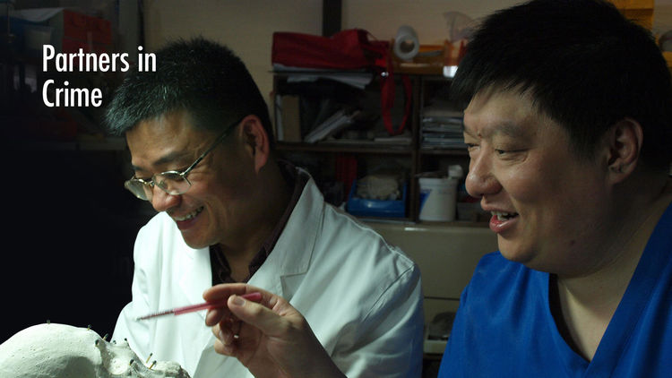 Partners in Crime S1