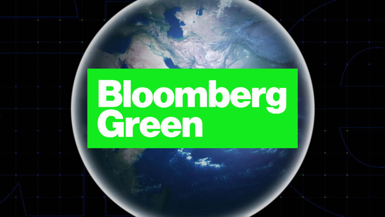 Bloomberg Green