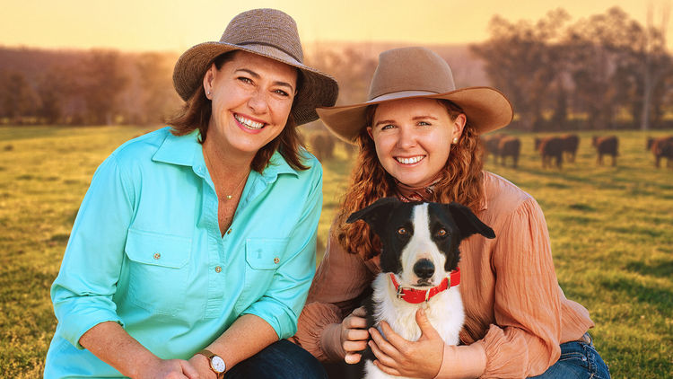 Muster Dogs: Where Are They Now