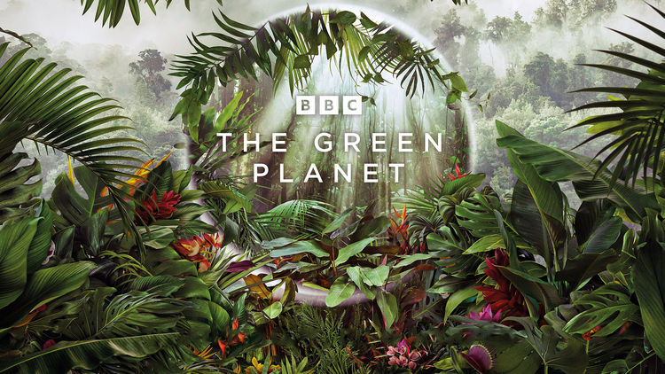 The Green Planet S1