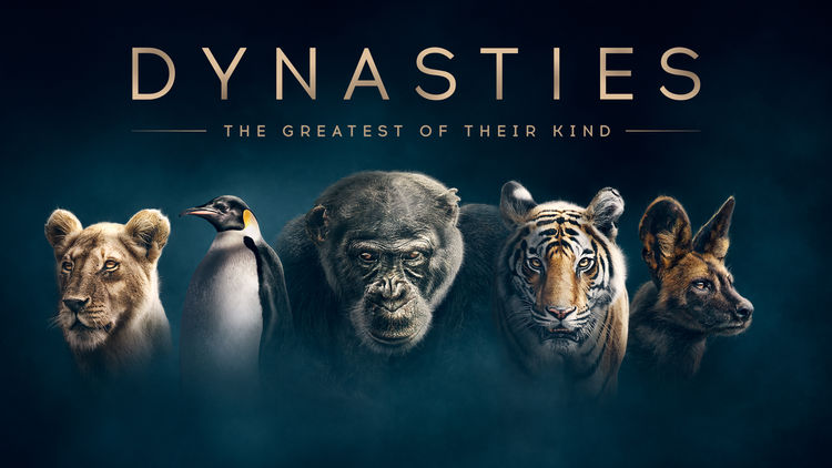 Dynasties S1