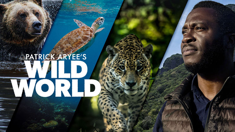 Patrick Aryee's Wild World S1