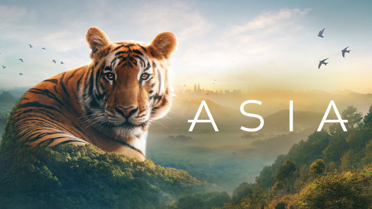 Asia S1