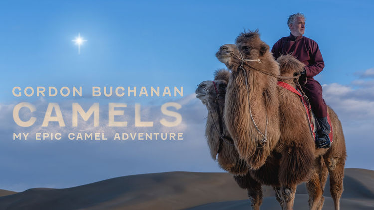 Gordon Buchanan: My Epic Camel Adventure S1