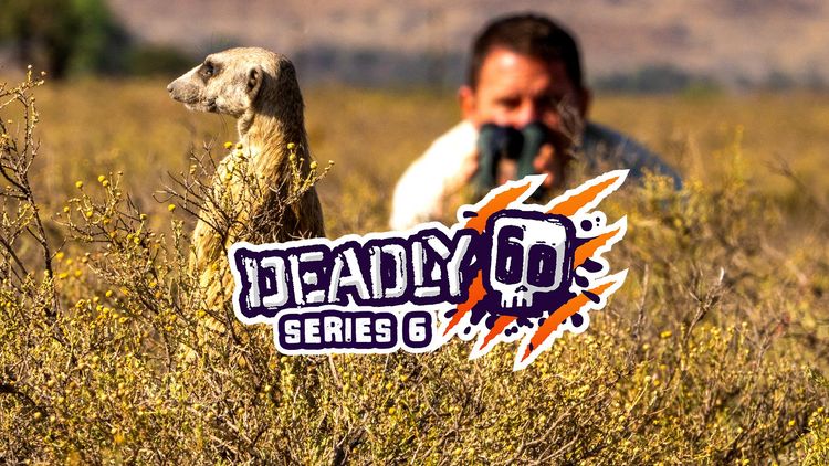 Deadly 60 S6