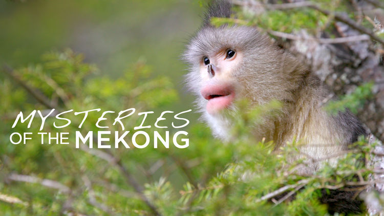 Mysteries of the Mekong S1