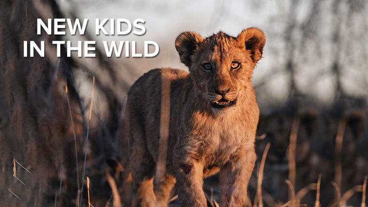 New Kids in the Wild S1