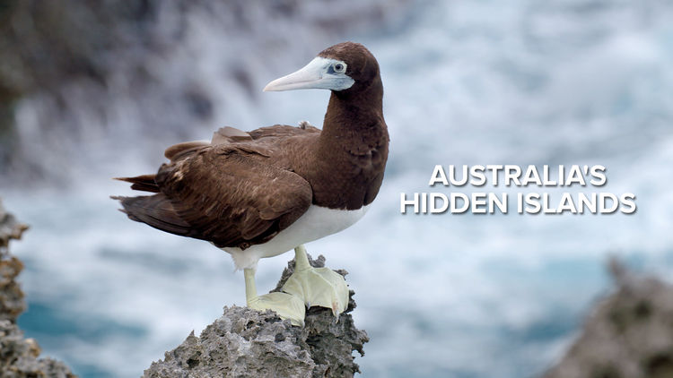 Australia's Hidden Islands S1