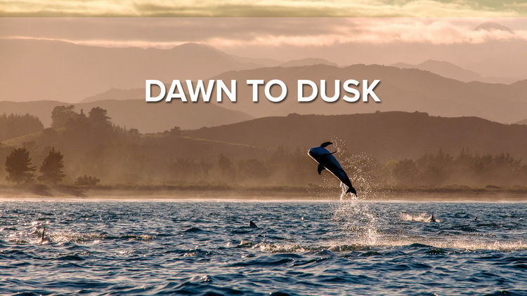Dawn to Dusk S1