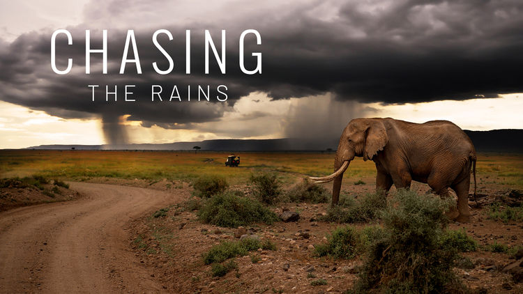 Chasing the Rains S1
