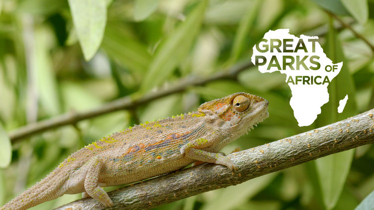 Great Parks of Africa S2