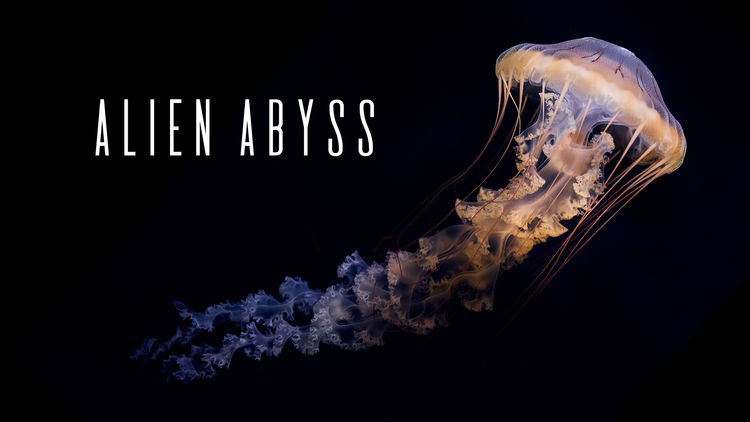 Alien Abyss S1