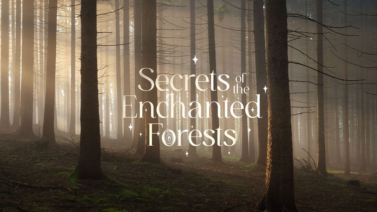 Secrets of the Enchanted Forests S1
