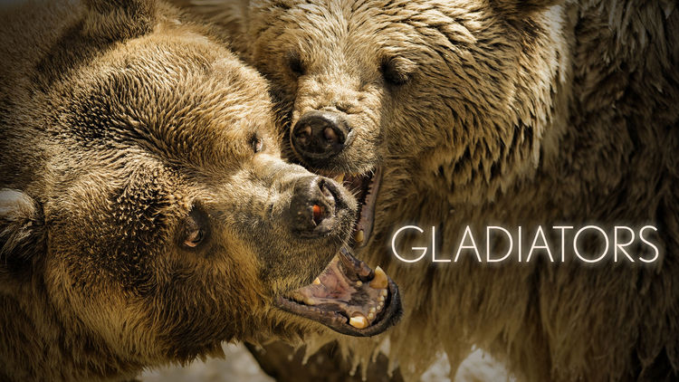 Gladiators S1