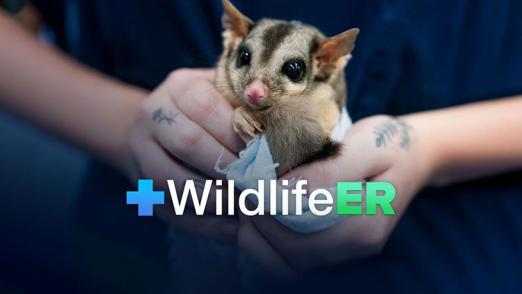 Wildlife ER S3
