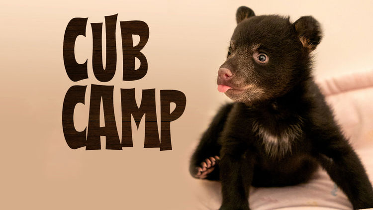 Cub Camp S1
