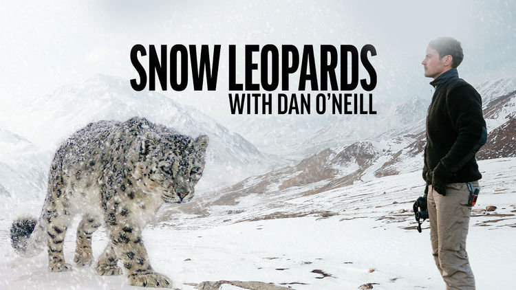 Snow Leopards With Dan O'Neill S1
