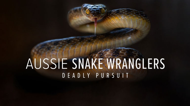 Aussie Snake Wranglers: Deadly Pursuit S1