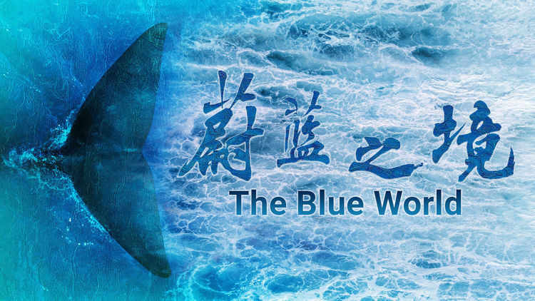 The Blue World