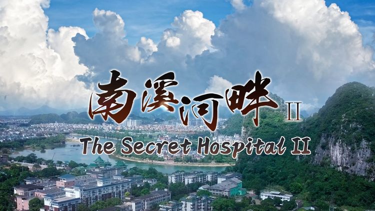 The Secret Hospital II