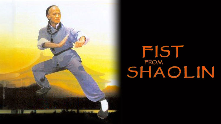 Fist From Shaolin