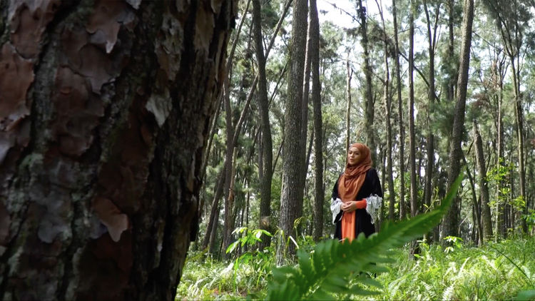 Indahnya Tarannum