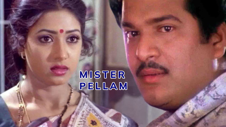 Mister Pellam (TG)