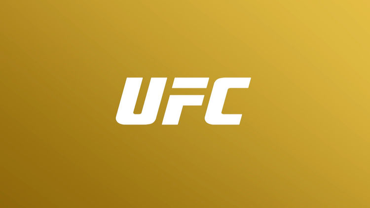 UFC Reloaded 319: Du Plessis vs Chimaev