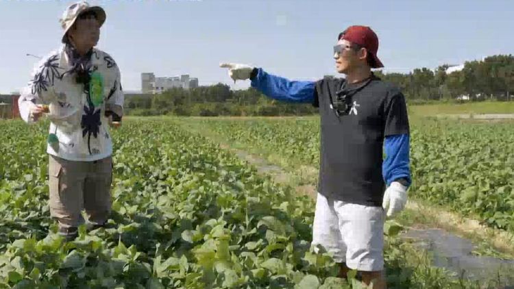 Champ Of Taiwan Farming