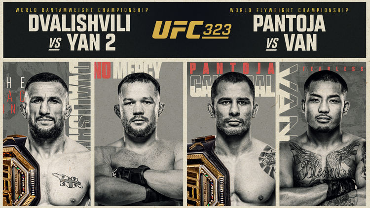 (D) UFC 323: Dvalishvili vs Yan 2