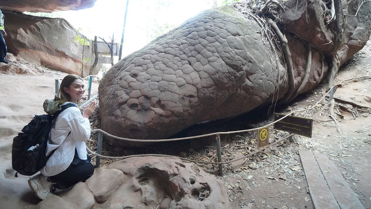 The River of Adventure