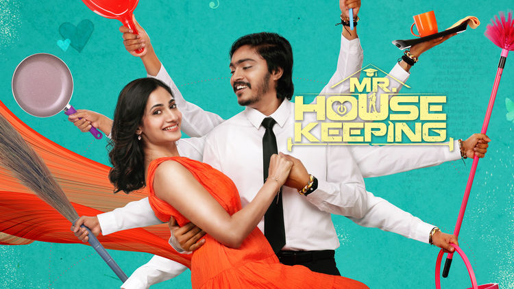 Mr. Housekeeping