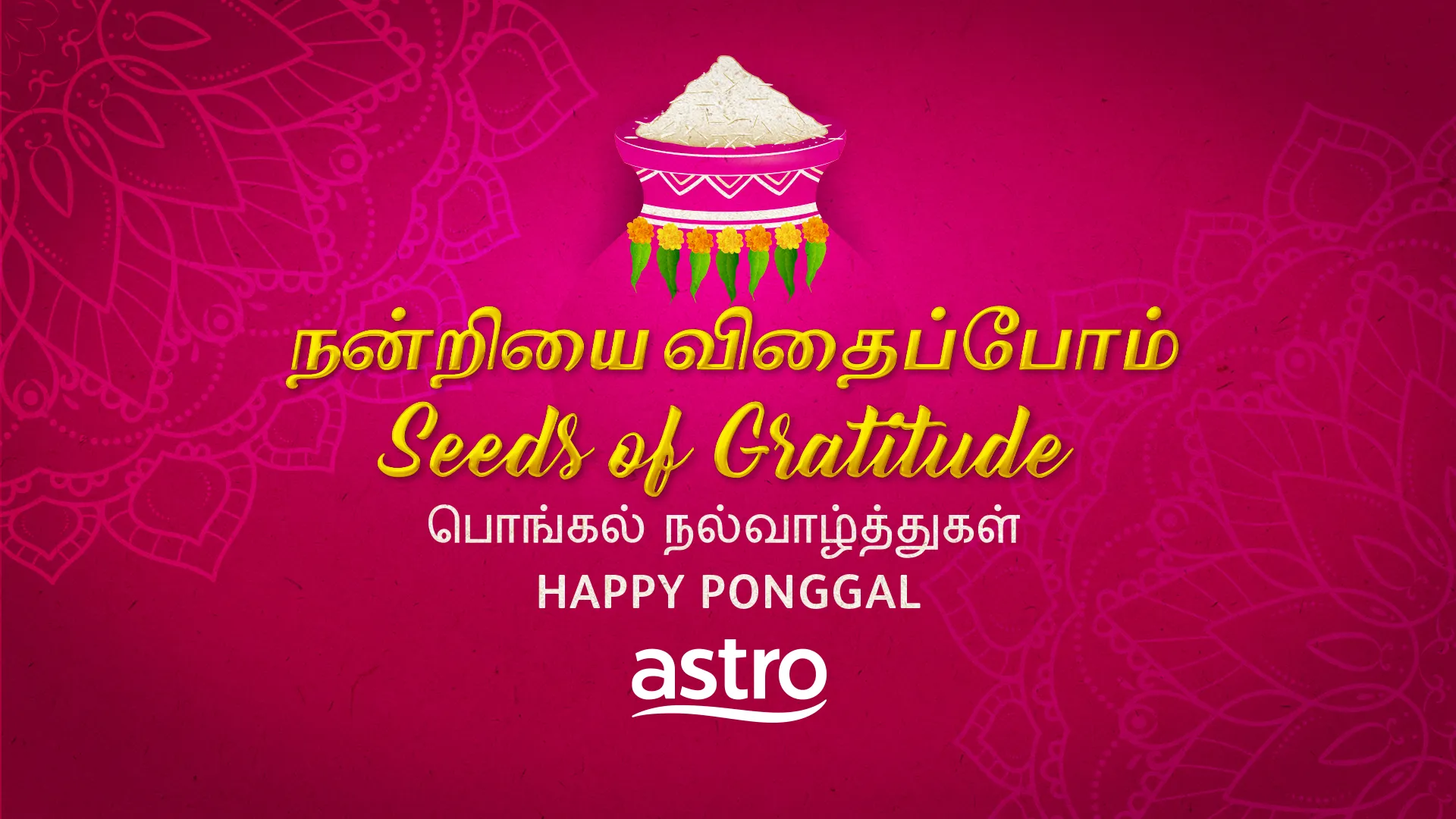 Astro Welcomes Ponggal with Specially Curated Local and International Premieres